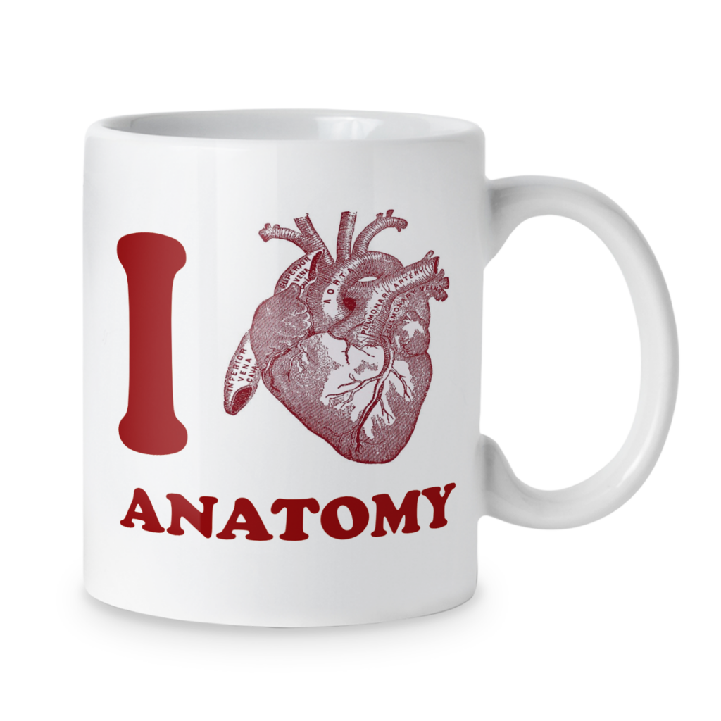 Kubek I love anatomy